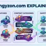 Zingyzon.com Explained Website Features, Content Categories and Safety Tips.